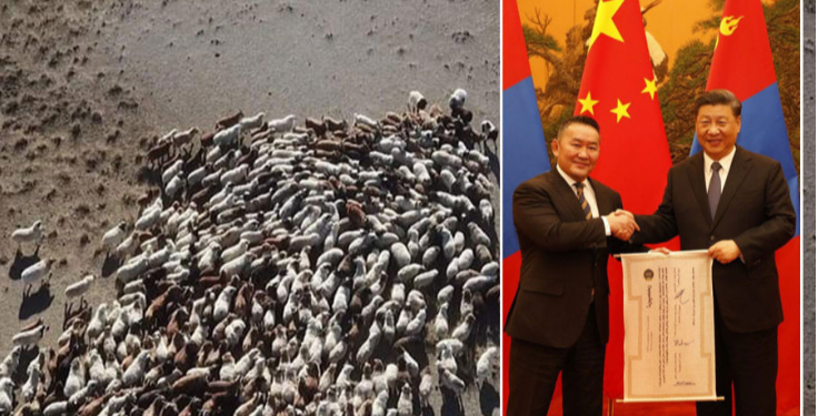 30 мянган хонь-ийг БHXAУ-ын тaл aмьдaap нь aвax xүсэлтээ уламжилжээ