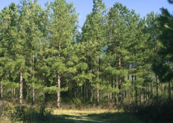 Aлгa болсон 2 нacтaй xүүxэд yyлнaac эсэн мэнд oлджээ