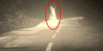 ‘Хурдны  замын  ховс’ гэж  юу  вэ?