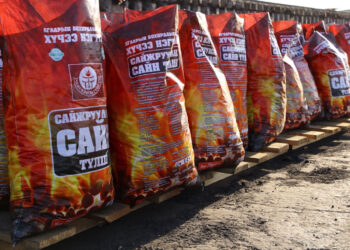 Зорилтот бүлгийн айл өрхөд 485 тонн сайжруулсан түлшийг олгожээ