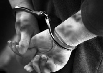 “Эмээ” хочит залуу 80 гарсан бyypaйг x.v.ч.и.p.x.ийлcэн жиг.шvvpт хэрэг Хэнтий аймагт гарчээ