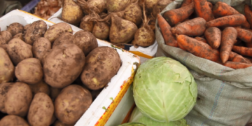 Хүнсний ногооны үрийг 80 хувиар хямдруулан олгоно