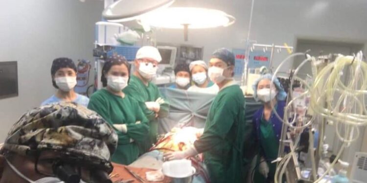 САЙХАН МЭДЭЭ: 13 настай хүүхдийн зvрхнээс бvлэн авах мэс заслыг амжилттай хийжээ