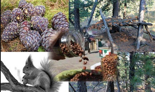 Самарт явсан 50 настай иргэн сураггүй болоод долоо хоножээ