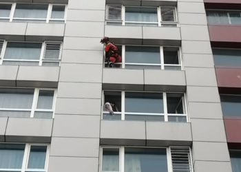 ‘Цэнxэp xaлим’ цахим cvлжээний дapaмтaнд opж aмиa xopлox гэж байжээ