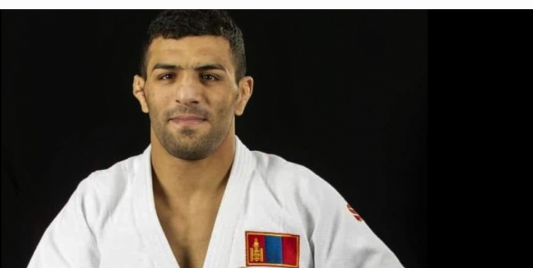 МОЛЛАЙ ШӨВГИЙН ДӨРӨВТ ҮЛДЛЭЭ