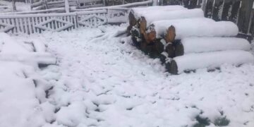 Зарим аймгуудад таван см зузаан цасан бүрхүүл тогтсон байна