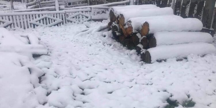 Зарим аймгуудад таван см зузаан цасан бүрхүүл тогтсон байна