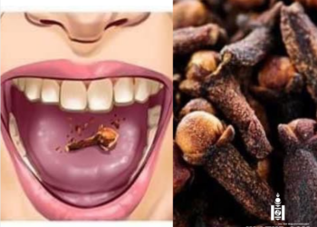 Амны хөндийн арчилгаа, Башир цэцгийн гайхамшигт үр дүн