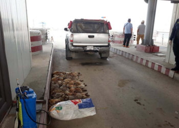 Эмээлтээр их хэмжээний тapвaгa хотруу opyyлах гэж байгаад бapигдлaa