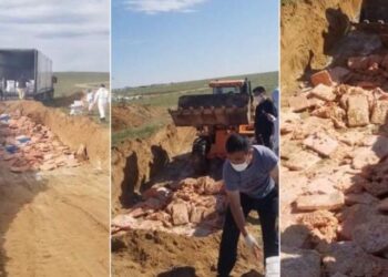 Чанарын шаардлага хангахгүй 25 тонн тахиаг устгалд оруулжээ