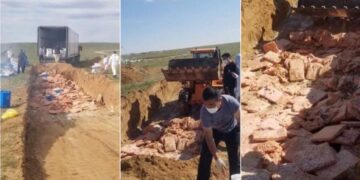 Чанарын шаардлага хангахгүй 25 тонн тахиаг устгалд оруулжээ