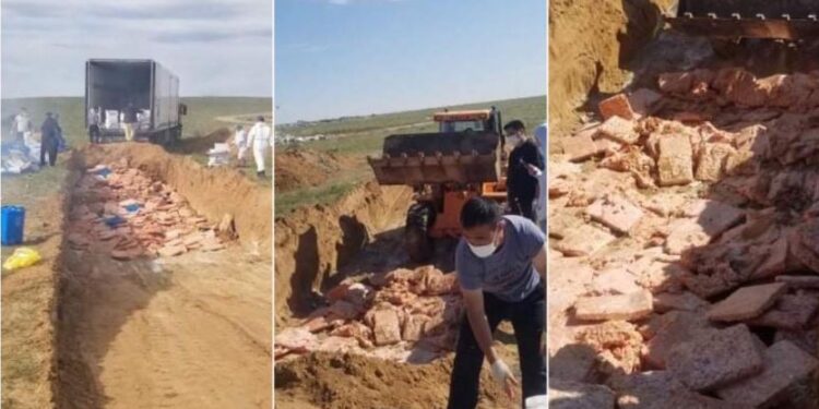 Чанарын шаардлага хангахгүй 25 тонн тахиаг устгалд оруулжээ