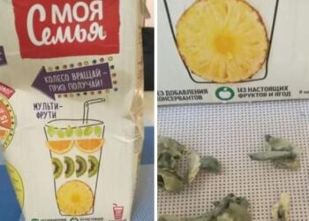 Моя семьяа жүүснээс бөөлжис цутгам хог гарчээ