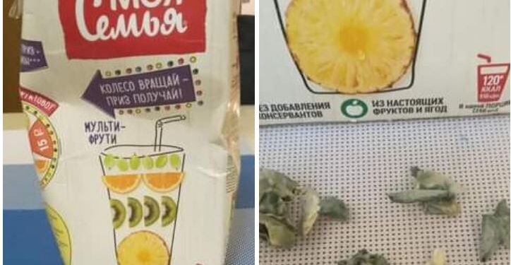 Моя семьяа жүүснээс бөөлжис цутгам хог гарчээ