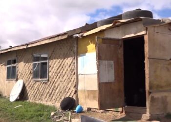 Паралимпын шагналт тамирчин Н.Алтанцэцэг салхи сийгэсэн амбаарт амьдарч байна