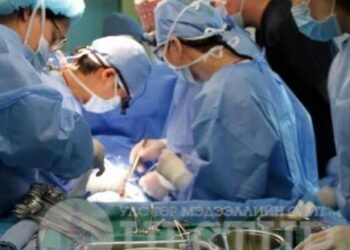 Монгол эмч нар дэлхийн эмч нарын хийж чаддаггүй мэс ажилбарыг хийлээ