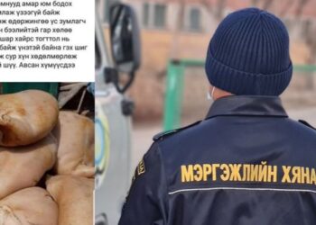 Химийн бодисоор ХУЙХАЛСАН сүүлийг МХЕГ-аас шалгана