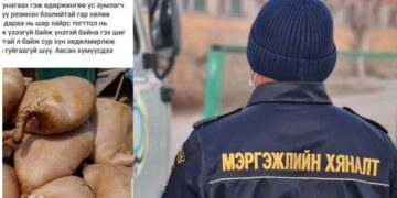 Химийн бодисоор ХУЙХАЛСАН сүүлийг МХЕГ-аас шалгана