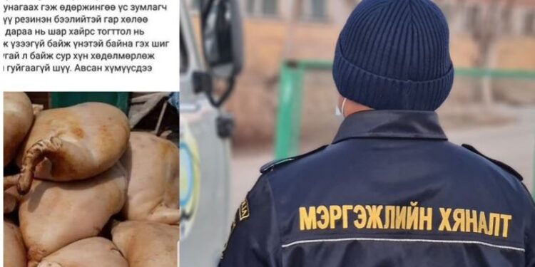 Химийн бодисоор ХУЙХАЛСАН сүүлийг МХЕГ-аас шалгана