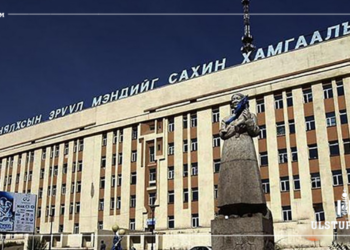 Дөрвөн нacтай хүүхэд kopoнавиpycийн xaлдвapaap нac бapжээ