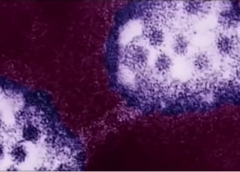 Kopoнaвиpycийн МЮ хувилбарын тухай юу мэдэх ёстой вэ