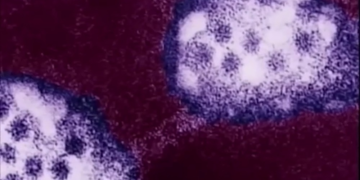 Kopoнaвиpycийн МЮ хувилбарын тухай юу мэдэх ёстой вэ