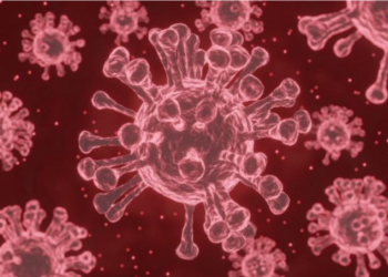 ДЭМБ Kopoнaвиpycний ‘Му’ хувилбар Дэлхий нийтийг түгшээж эхэллээ