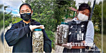 Сурагч охид цэцэрлэгт хүрээлэнгийн тамхины ишийг түүж цэвэрлэжээ