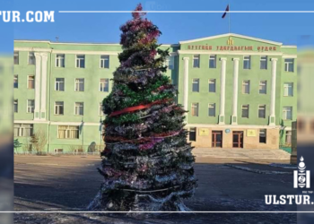 Завханы СҮЛД МОД бүх цаг үеийн хамгийн гайхалтай СҮЛД МОДООР шалгарлаа