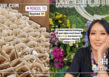 Монгол HD телевиз цалингаа төмс, луувангаар тавьдаг гэв