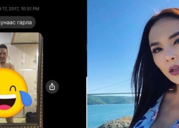 Солонго Dale Choi-гийн булайг дэлгэв