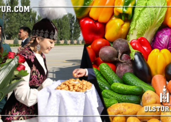 Киргиз улс Монголд жимс, нарийн ногоо нийлүүлэх хүсэлт гаргалаа