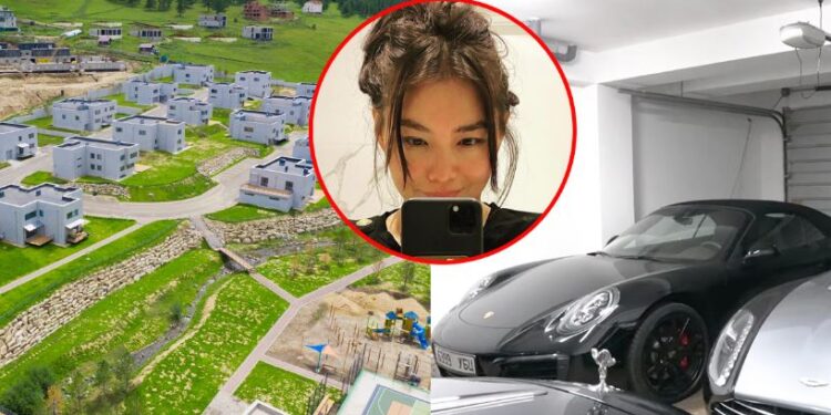 Х.Янжингаажидын авах боломжтой хөрөнгүүдийг танилцуулж байна