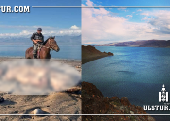 Үүрэг нуураас агнасан үл мэдэгдэх аврага амьтаны зургыг анх удаа олонд дэлгэлээ