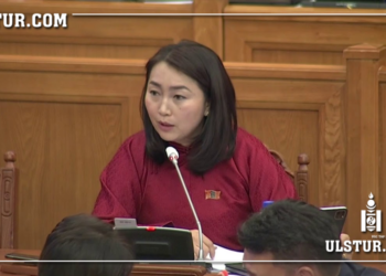 Х.Булгантуяа: Санхүүгийн зах зээл рүү орох ёстой мөнгө койн руу ороод дууссан юм биш үү