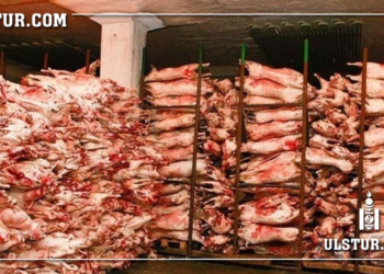 Маргаашнаас нөөцийн хонины мах дараах байдлаар хямдарна