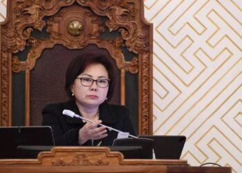 С.Одонтуяа: Малын махыг химийн бодист хийсэн хүмүүст я.л оноох ёстой