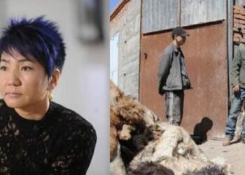 Цэнхэр үст Цэрэн Эмээлтийнхэний тухай үнэнг илчлэв