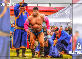 Ц.Содномдорж арслан XXI зуунаас хойш төрийн наадамд хамгийн олон удаа тунан барилджээ