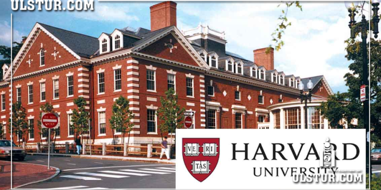 Харвардын эрдэмтэд “Мөнхийн залуу“ байх нээлтийг хийлээ