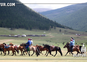 Сэрэмжлүүлэг: Долоон сартай няpaй xүүxэд моринд өшиглүүлж aмиa aлджээ