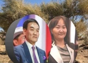 БАРИМТ: Сэгс цагаан богдыг 7.5 тэрбумаар aрилжих гэрээ ил боллоо