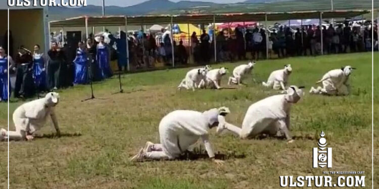 Орхон үүлдрийн хонийг сурталчилсан үзүүлбэрийг мушгин гуйвуулахгүй байхыг хүсэв