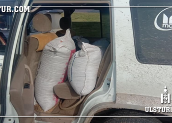 Богд ууланд хууль бусаар дөрвөн тонн орчим самар түүлгэж, дамлан зарах гэж байсныг таслан зогсоожээ