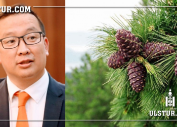 БОАЖЯ-ны сайд Б.Бат-Эрдэнэ: Самарт явсан хүмүүсийн 80 гаран хувь нь газар дээрээ vxдэг гэв…