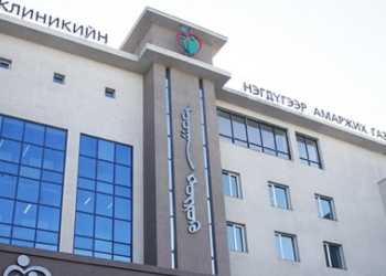 Д.Номин-Эрдэнэ: Анх төрөх гээд өвдөлт өгсөн дүүг маань эмч нь юун сүртэй юм, ингэж л өвддөг гэж загнаж байлгасаар, хүүхэд нь эндчuxсэн