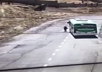 Охины буруу гэж үзэн, цагдаагийн байгууллага хэргийг хаажээ