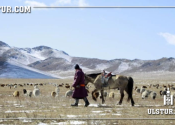 Туслах малчин нь эзнийхээ малыг зарж машин авч унан зугтсан хэрэг гарчээ..
