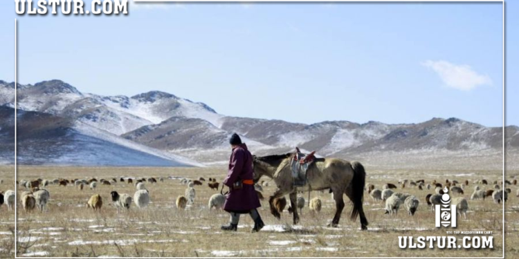 Туслах малчин нь эзнийхээ малыг зарж машин авч унан зугтсан хэрэг гарчээ..